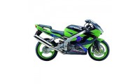 Billigste 2002-2003 Kawasaki ZX9R Verkleidung