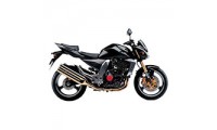 Billigste 2003-2006 Kawasaki Z1000 Verkleidung
