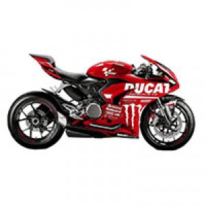 Billigste 2020-2024 Ducati Panigale V2 Verkleidung