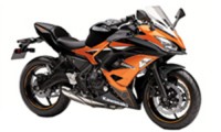 Verkleidung Ninja EX650 2017-2019