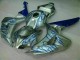 CBR 1000 RR 06-07 Motorrad Verkleidungen - Blau Flamme Silber CBR 1000 RR 06-07 Motorrad Verkleidungen - Blau Flamme Silber