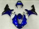 R1 02-03 Motorrad Verkleidungen - Blau