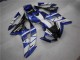 R6 08-16 Motorrad Verkleidungen - Blau Weiß FAAC R6 08-16 Motorrad Verkleidungen - Blau Weiß FAAC