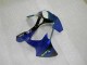 ZX6R 00-02 Motorrad Verkleidungen - Blau ZX6R 00-02 Motorrad Verkleidungen - Blau