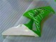 CBR 1000 RR 06-07 Motorrad Verkleidungen - Grün CBR 1000 RR 06-07 Motorrad Verkleidungen - Grün