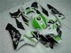 CBR 600 RR 05-06 Motorrad Verkleidung - Grün