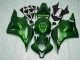 CBR 600 RR 09-12 Motorrad Verkleidungen - Grün