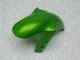 R1 00-01 Motorrad Verkleidungen - Grün R1 00-01 Motorrad Verkleidungen - Grün