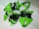 ZX6R 00-02 Motorrad Vollverkleidung - Grün Schwarz ZX6R 00-02 Motorrad Vollverkleidung - Grün Schwarz