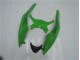 ZX6R 09-12 Motorrad Vollverkleidung - Grün Schwarz ZX6R 09-12 Motorrad Vollverkleidung - Grün Schwarz