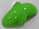 ZX6R 00-02 Motorrad Verkleidungen - Grün ZX6R 00-02 Motorrad Verkleidungen - Grün