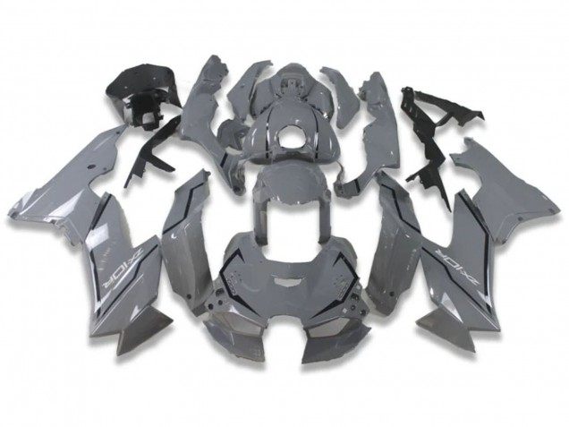 Billigste Kawasaki ZX10R Motorrad Verkleidung 2021-2026 - Nardo Grau