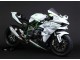 Billigste Kawasaki Ninja H2 Motorrad Verkleidung 2015-2022 - Weiss Silber Grun