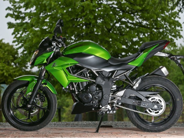 Billigste Kawasaki Z250/Z300 Motorrad Verkleidung 2015-2016 - Grun Matt Schwarz
