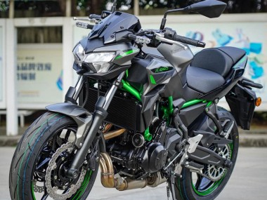 Billigste Kawasaki Ninja Z650 Motorrad Verkleidung 2020-2023 - Schwarz Grun