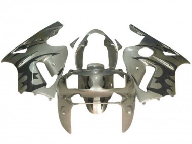 Billigste Kawasaki ZX12R Motorrad Verkleidung 2002-2006 - Silber Schwarz