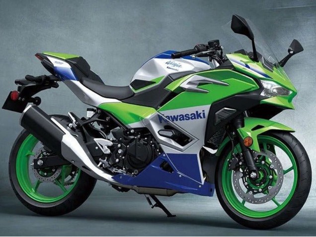 Billigste Kawasaki Ninja 500 EX500R Motorrad Verkleidung 2024-2025 - Silber Grun Blau