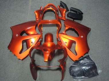 Billigste Kawasaki ZX6R Motorrad Verkleidung 2000-2002 - Orange