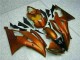 R6 08-16 Motorrad Verkleidungen - Orange R6 08-16 Motorrad Verkleidungen - Orange