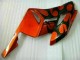 CBR 1000 RR 04-05 Motorrad Verkleidung - Orange Schwarz CBR 1000 RR 04-05 Motorrad Verkleidung - Orange Schwarz