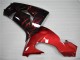 ZX10R 06-07 Motorrad Verkleidungen - Rot Flamme ZX10R 06-07 Motorrad Verkleidungen - Rot Flamme