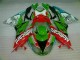 ZX6R 09-12 Motorrad Verkleidungen - Rot Grün Motocard ZX6R 09-12 Motorrad Verkleidungen - Rot Grün Motocard