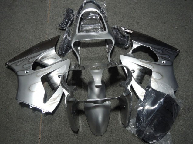 ZX6R 00-02 Motorrad Verkleidungen - Silber Flamme ZX6R 00-02 Motorrad Verkleidungen - Silber Flamme