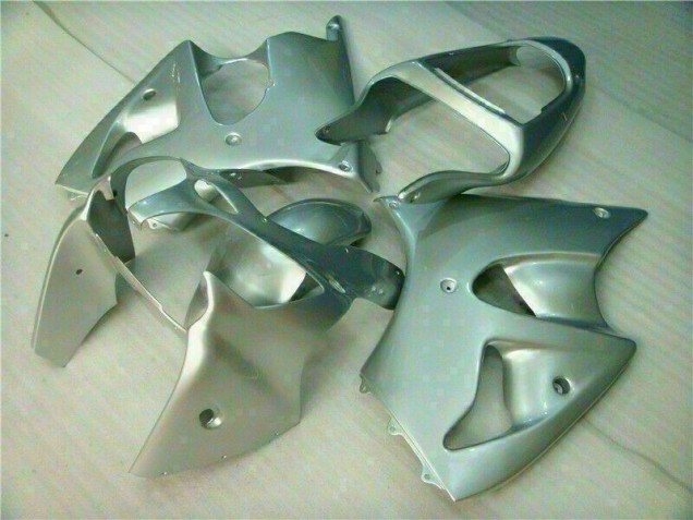 ZX6R 00-02 Motorrad Verkleidungen - Silber ZX6R 00-02 Motorrad Verkleidungen - Silber