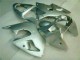 ZX6R 00-02 Motorrad Verkleidungen - Silber ZX6R 00-02 Motorrad Verkleidungen - Silber