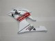 R6 08-16 Motorrad Verkleidungen Komplett Sets - Weiß R6 08-16 Motorrad Verkleidungen Komplett Sets - Weiß